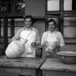 bor demizson vendéglátás - 1954