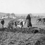 Mezőgazdaság - földművelés - 1929