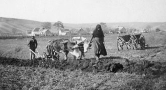 Mezőgazdaság - földművelés - 1929