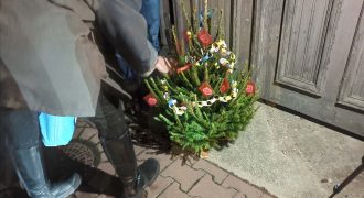 Szikra - fenyő - karácsony - lakhatás