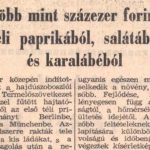 Arcanum - Hajdú-bihari Napló