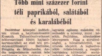 Arcanum - Hajdú-bihari Napló