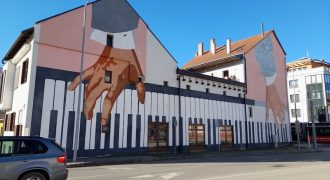 Borsod24