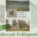 erdőspuszták búvár
