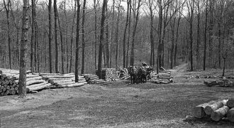 Fakitermelés 1958