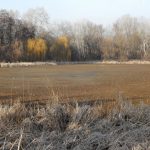 Vekeri-tó - 2025. február 9.