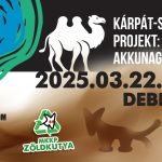 Kárpát-sivatag