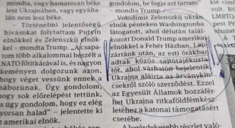Napló