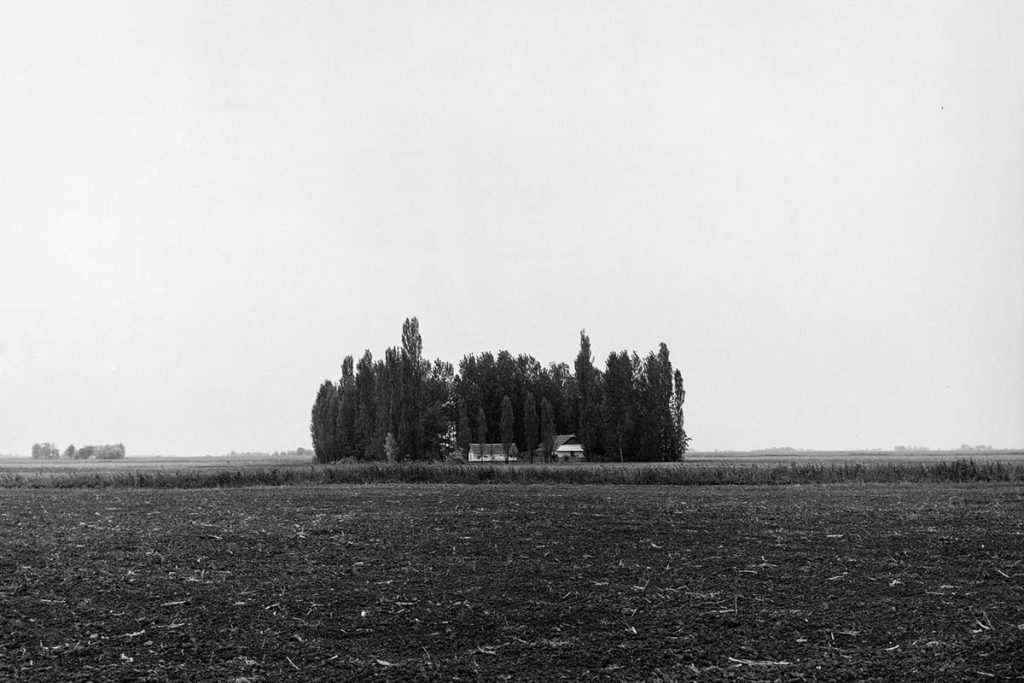 Szegeder