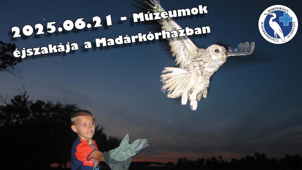 Madárkórház