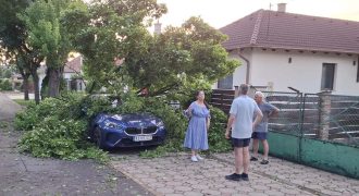 Katona Erzsébet - vihar