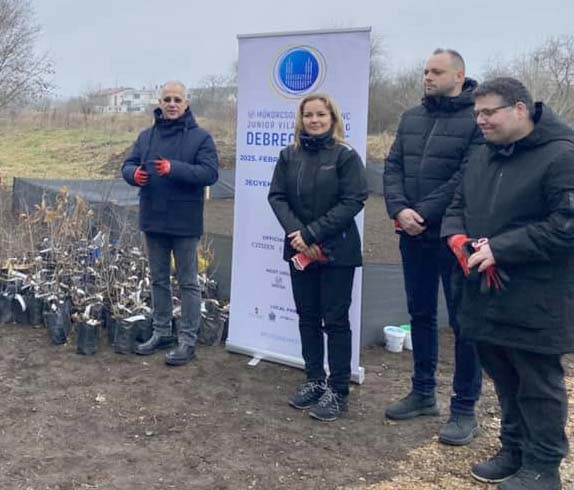 Kósa Lajos fái a Tócóvölgyben