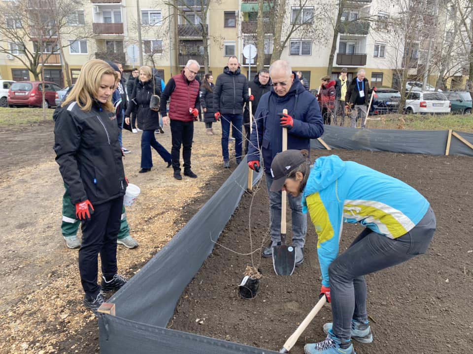Kósa Lajos fái a Tócóvölgyben