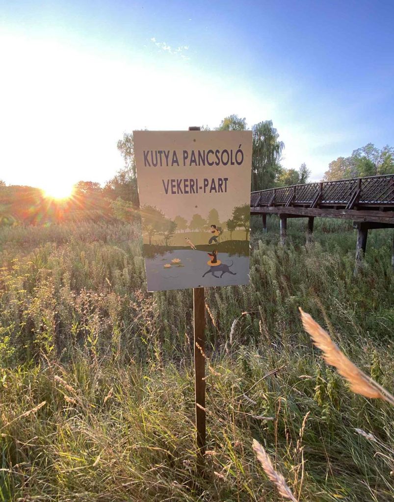 Vekeri-tó - 2025. augusztus 27.
