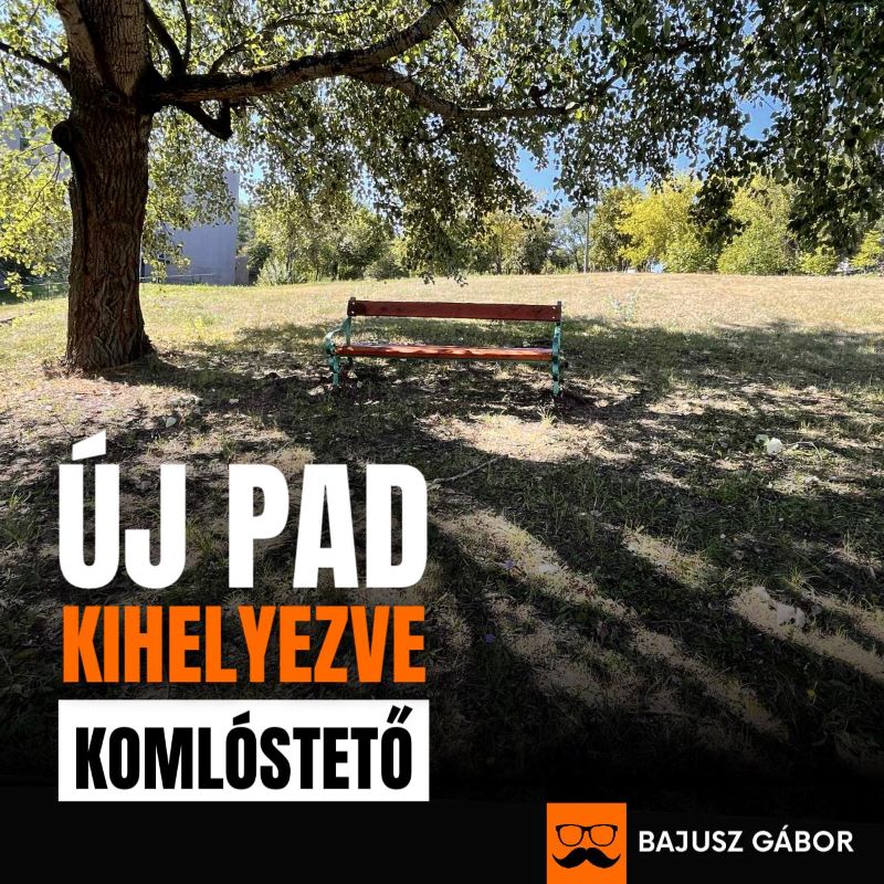 Borsod24
