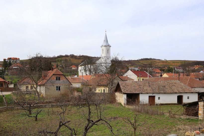 Borsod24