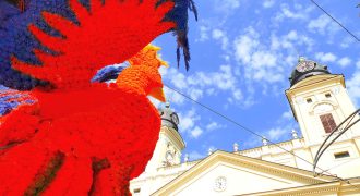 Virágkarnevál 2025 - CATL