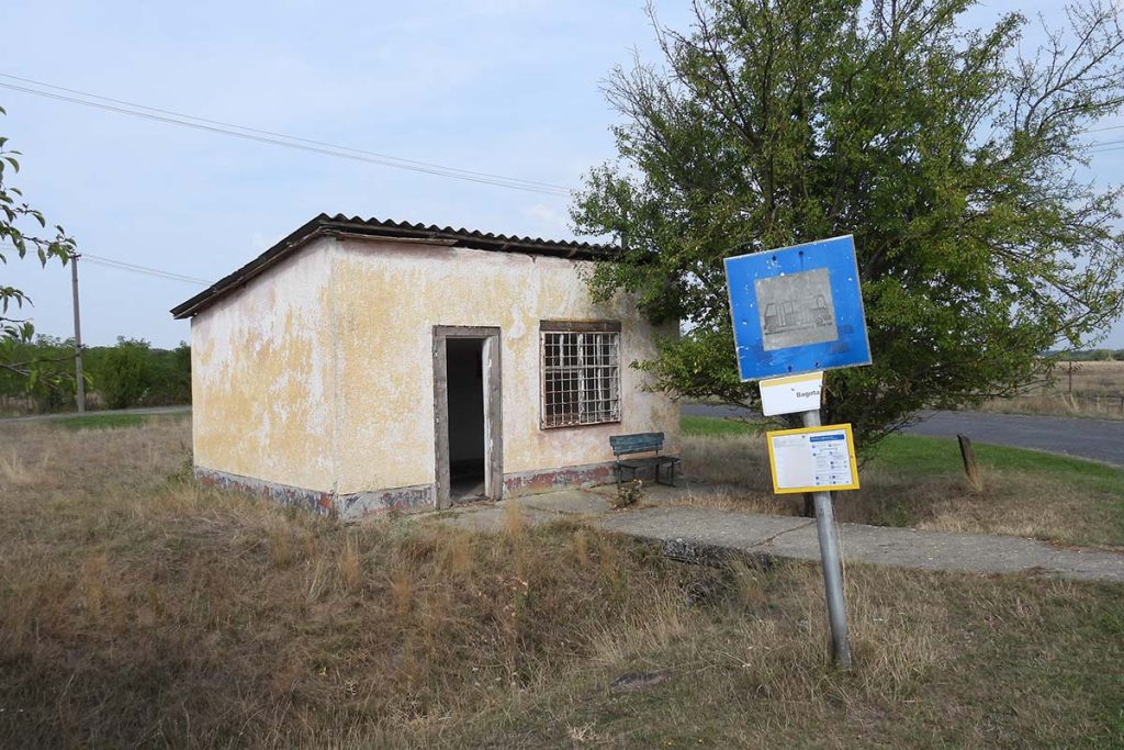 Bagota