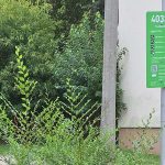 Poroszlay út - parkolás