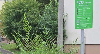 Poroszlay út - parkolás