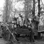 Épül a debreceni állatkert 1962