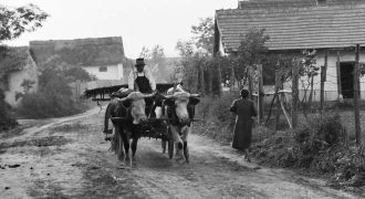 tehenes szekér