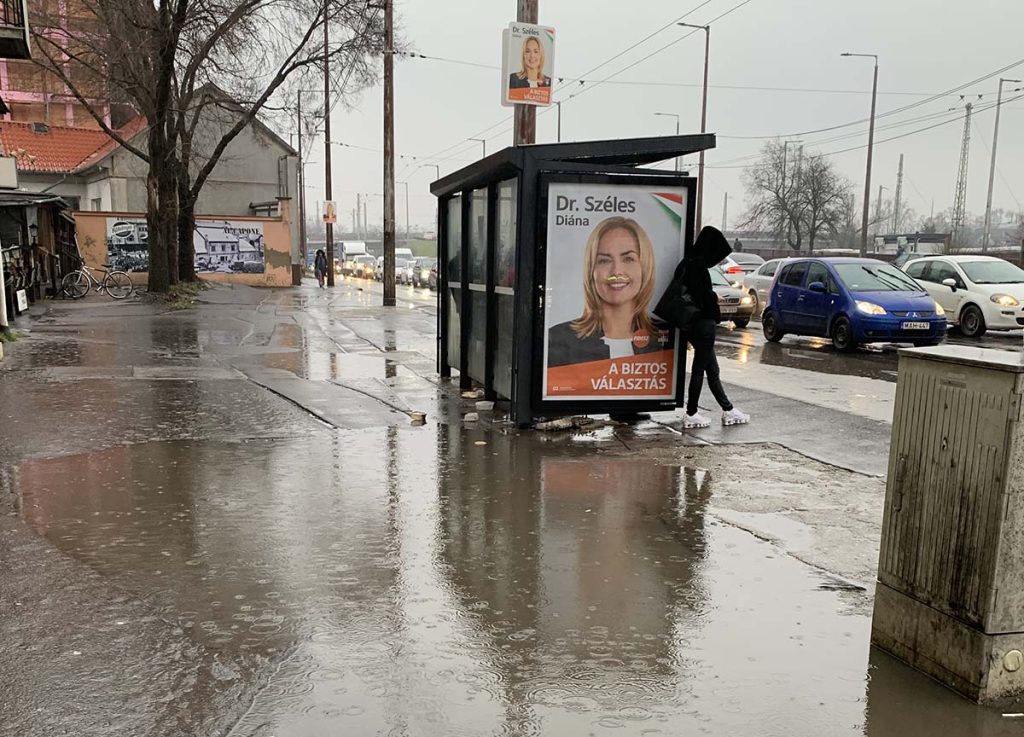 Széles Diána