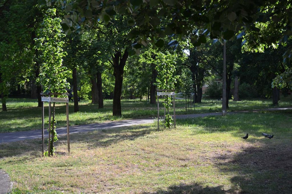 park - Debrecen - 2026. május 8.