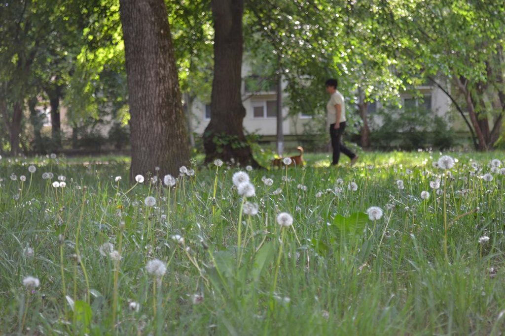 park - Debrecen - 2026. május 8.