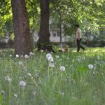 park - Debrecen - 2026. május 8.