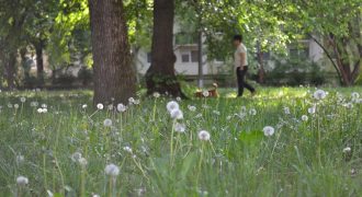 park - Debrecen - 2026. május 8.