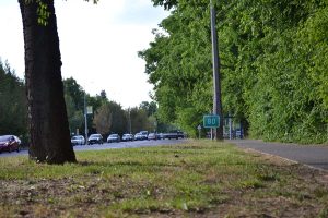 park - Debrecen - 2026. május 8.