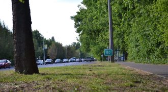 park - Debrecen - 2026. május 8.