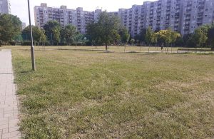 Tócóskert - park