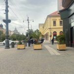 Piac utca - térkő - instant fa