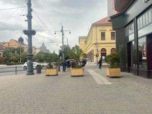 Piac utca - térkő - instant fa