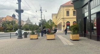 Piac utca - térkő - instant fa