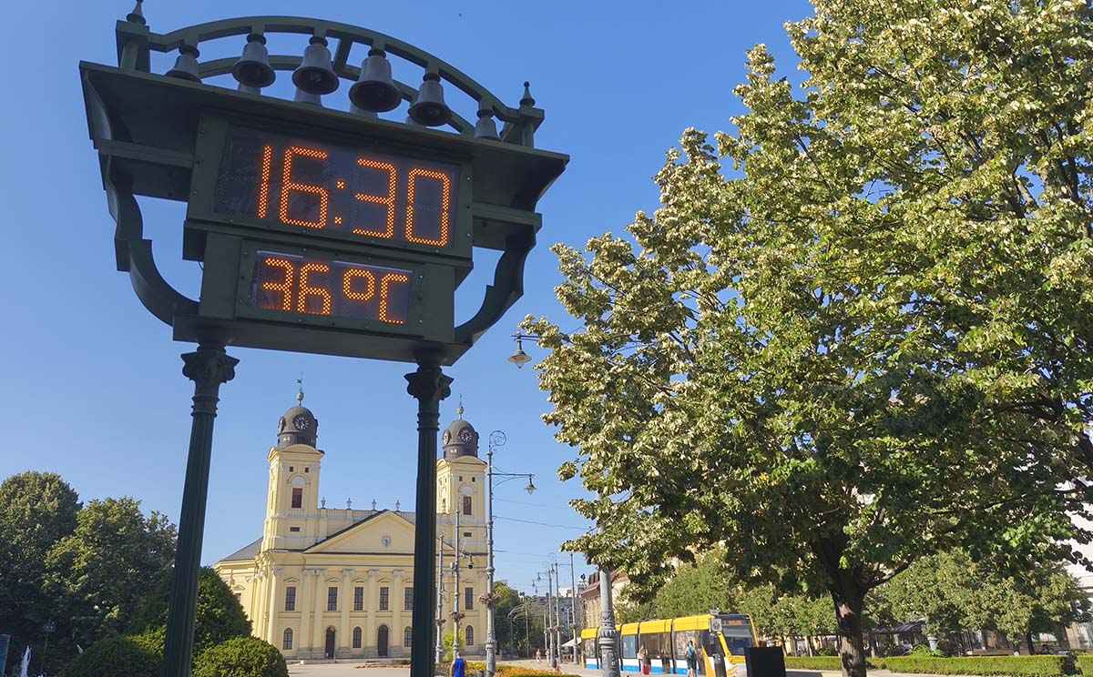 Piac utca - kánikula - 20260731