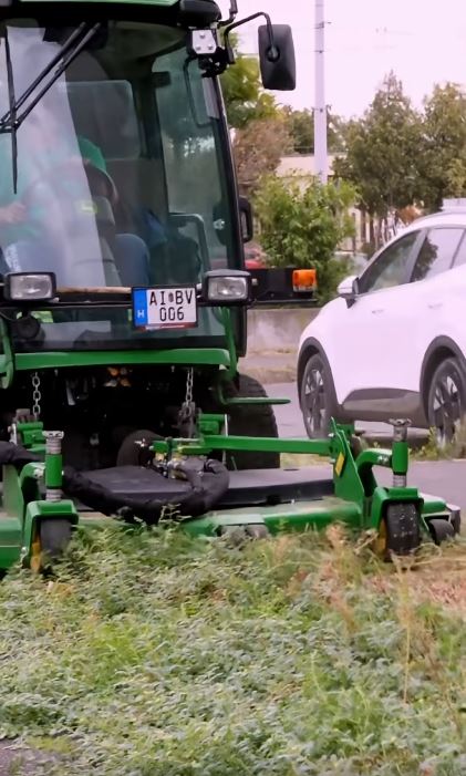 A királydinnye irtása